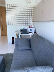 Loft @ Holland (D10), Apartment #348349591